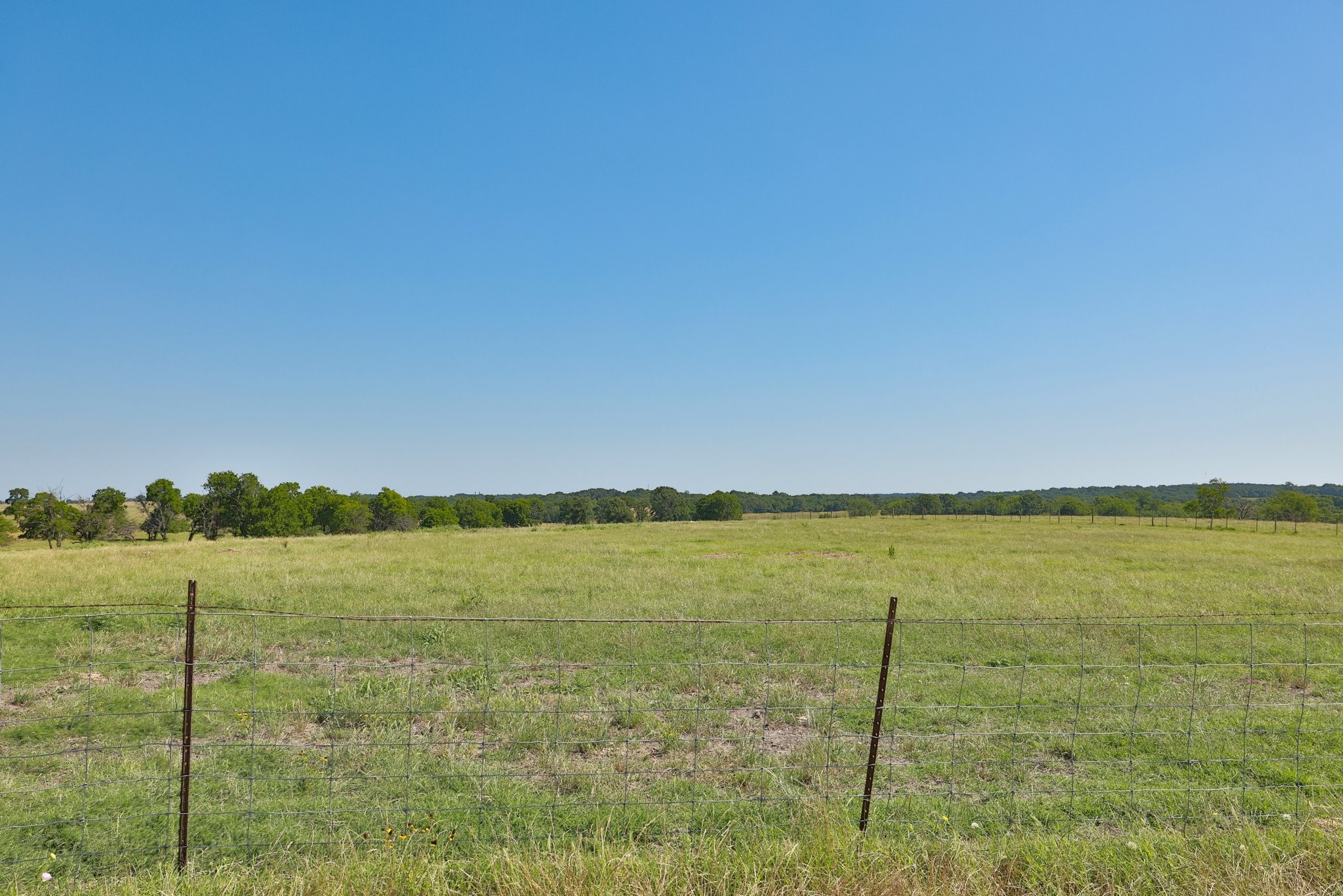 305 Rd Navasota Tx 77868 Road Navasota, TX 77868 - Photo 8 of 19 Gallery Image 8