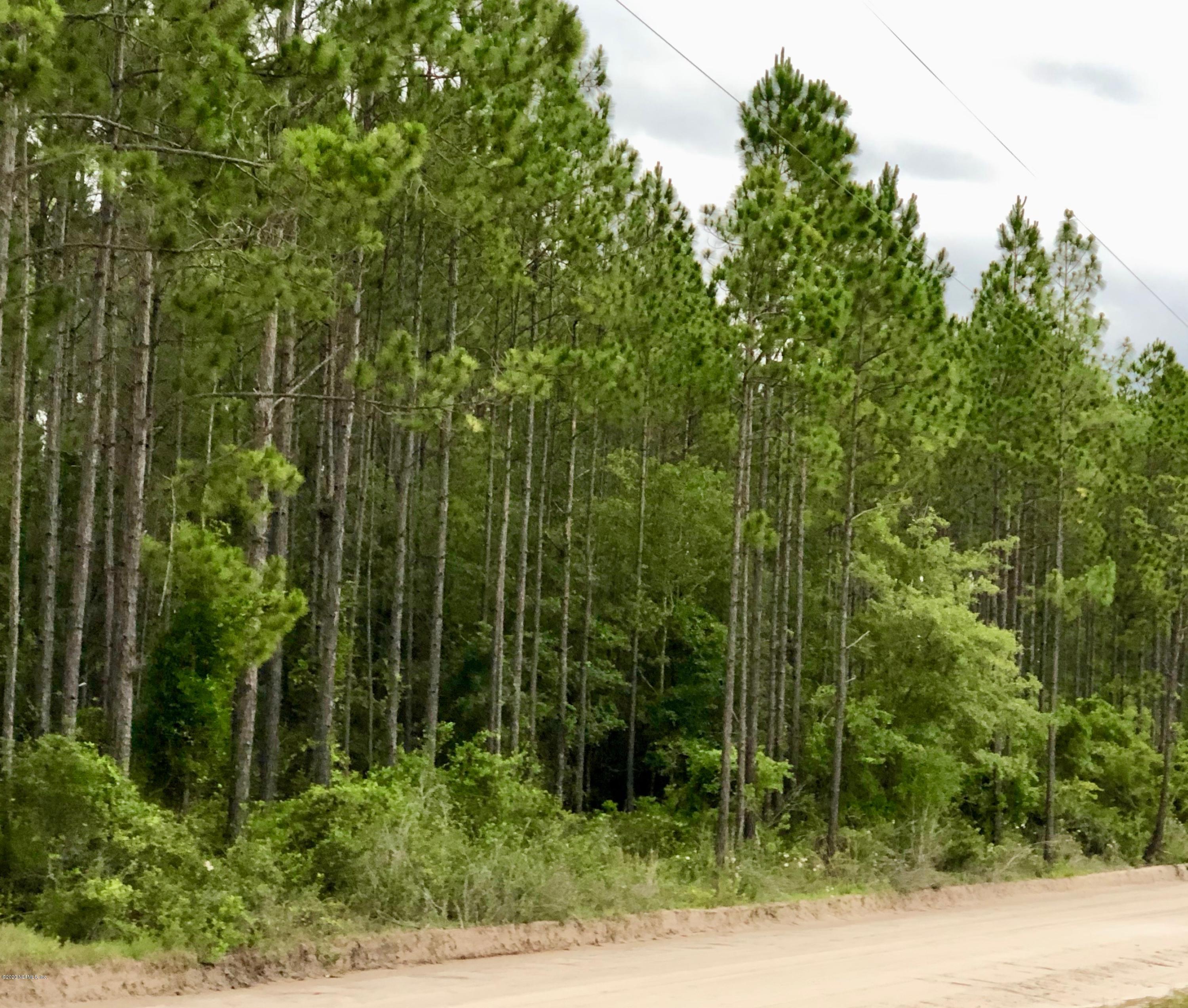 0 Pender Raulerson Road Sanderson, FL 32087 - Photo 2 of 5 IMG_4032