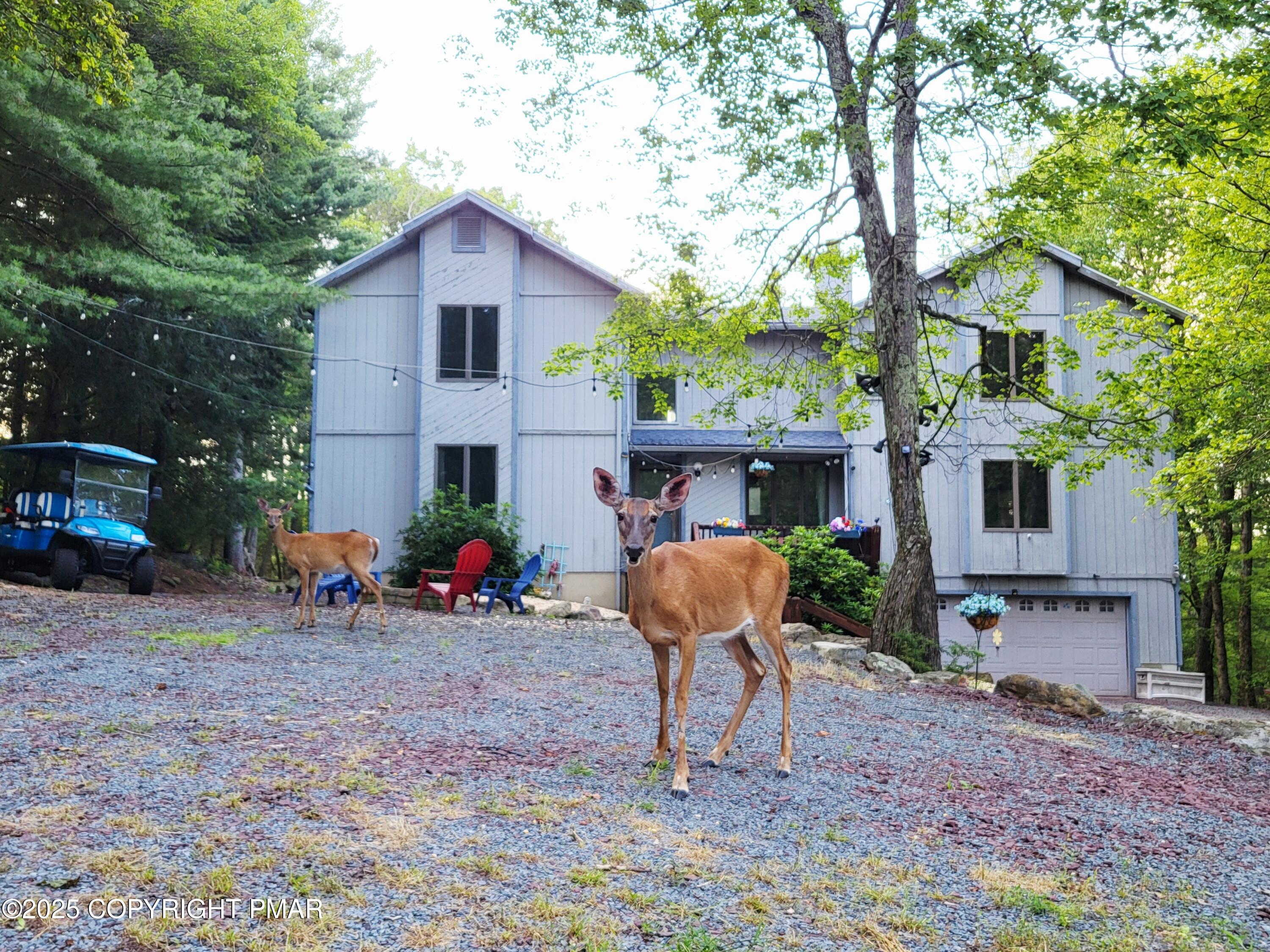 74 Split Rock Road Lake Harmony, PA 18624 - Photo 77 of 77 a view of house with a yard and sitting area