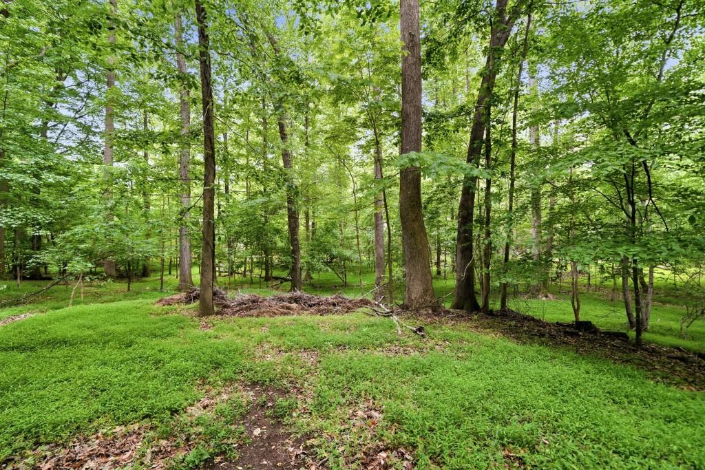 14772 Taylor Valley Way Milton, GA 30004 - Photo 90 of 127