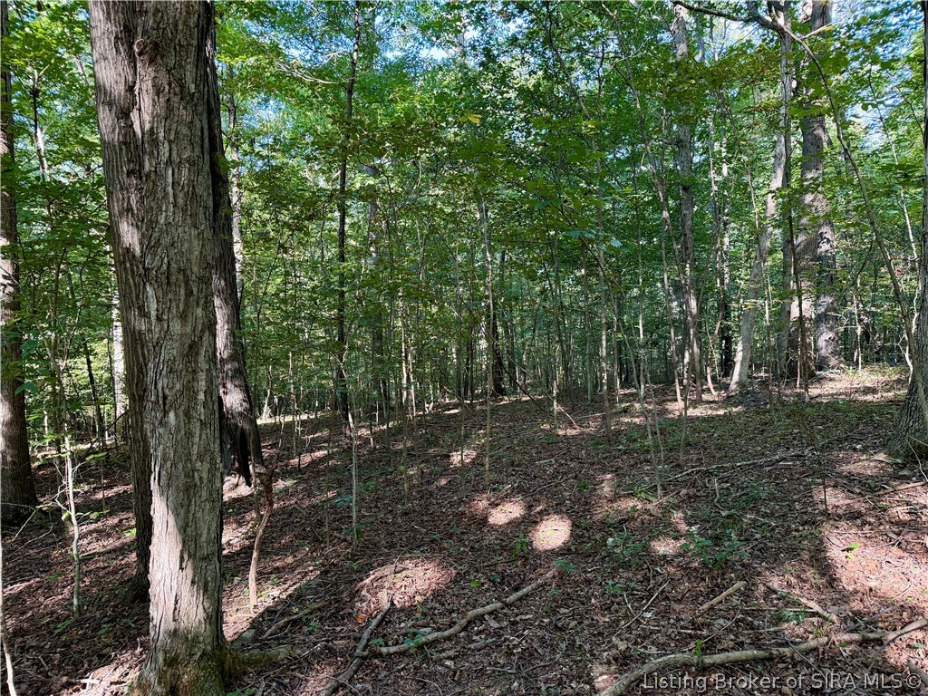 South Big Springs Road Pekin, IN 47165 - Photo 14 of 24 Gallery Image 14
