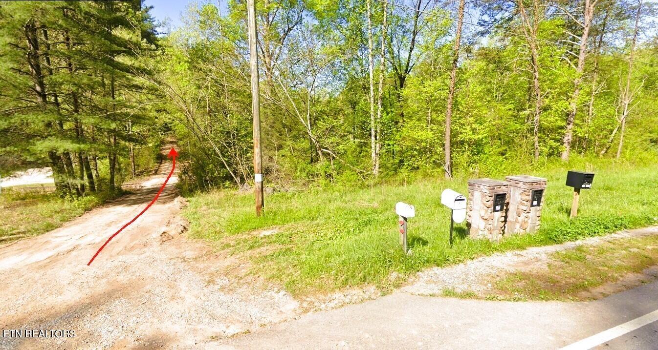 0 Blair Road Harriman, TN 37748 - Photo 1 of 9 0 Blair RD Harriman TN LOT AB