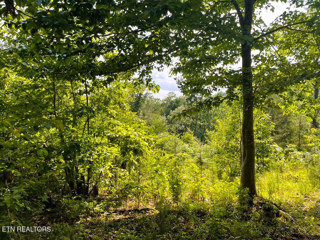 0 Blair Road Harriman, TN 37748 - Photo 3 of 9 0 Blair RD Harriman TN TRACT B