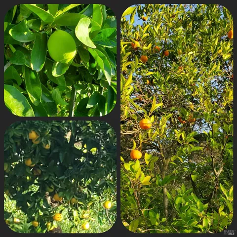 $2,295,000 | 3778 Burke Place, Sonoma, CA 95476