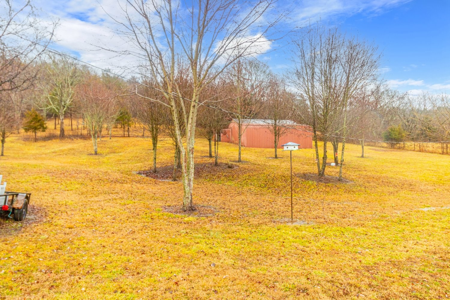 570 Coop Road Bell Buckle, TN 37020 - Photo 43 of 49