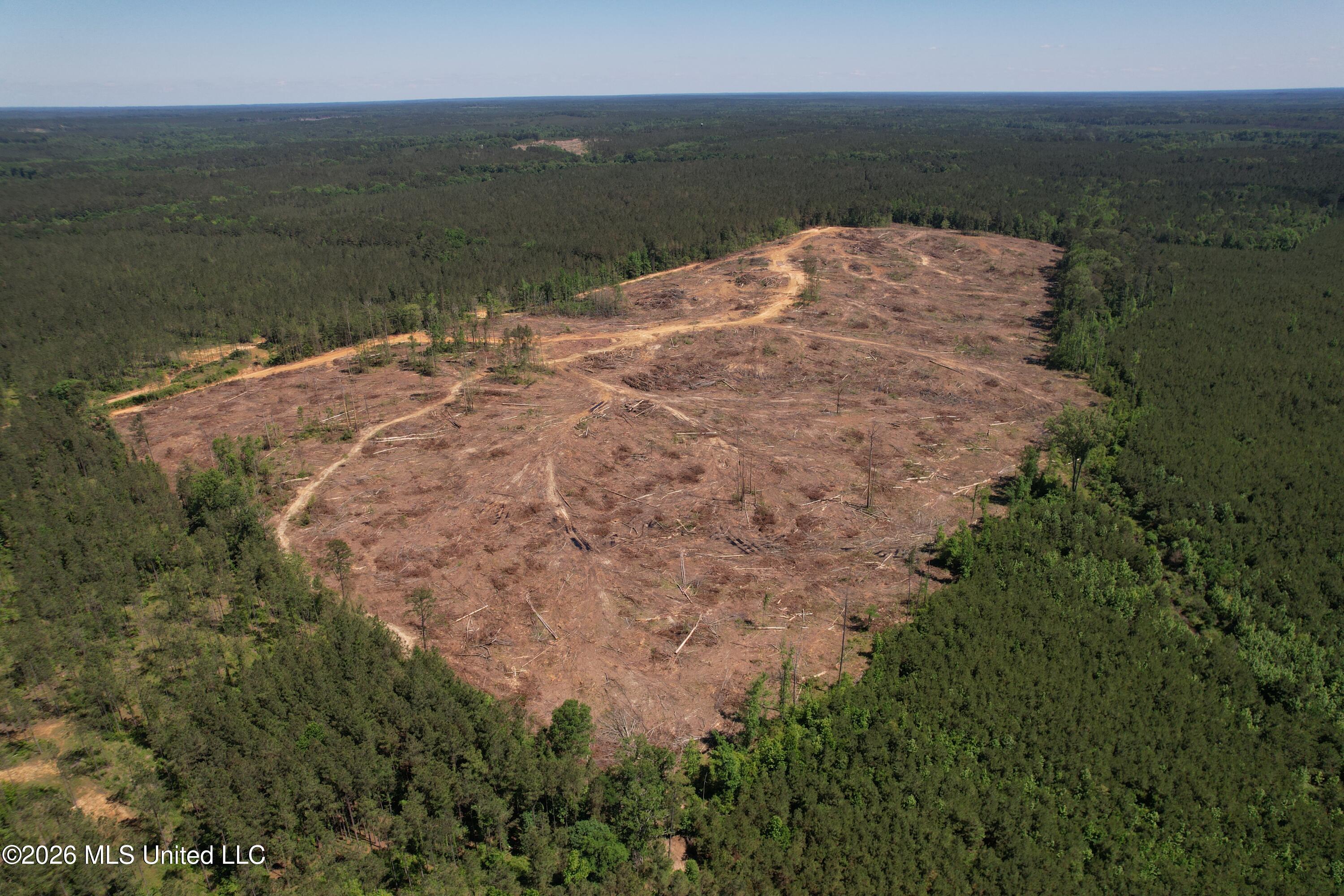 Couparle Road Camden, MS 39045 - Photo 10 of 47 DJI_0126