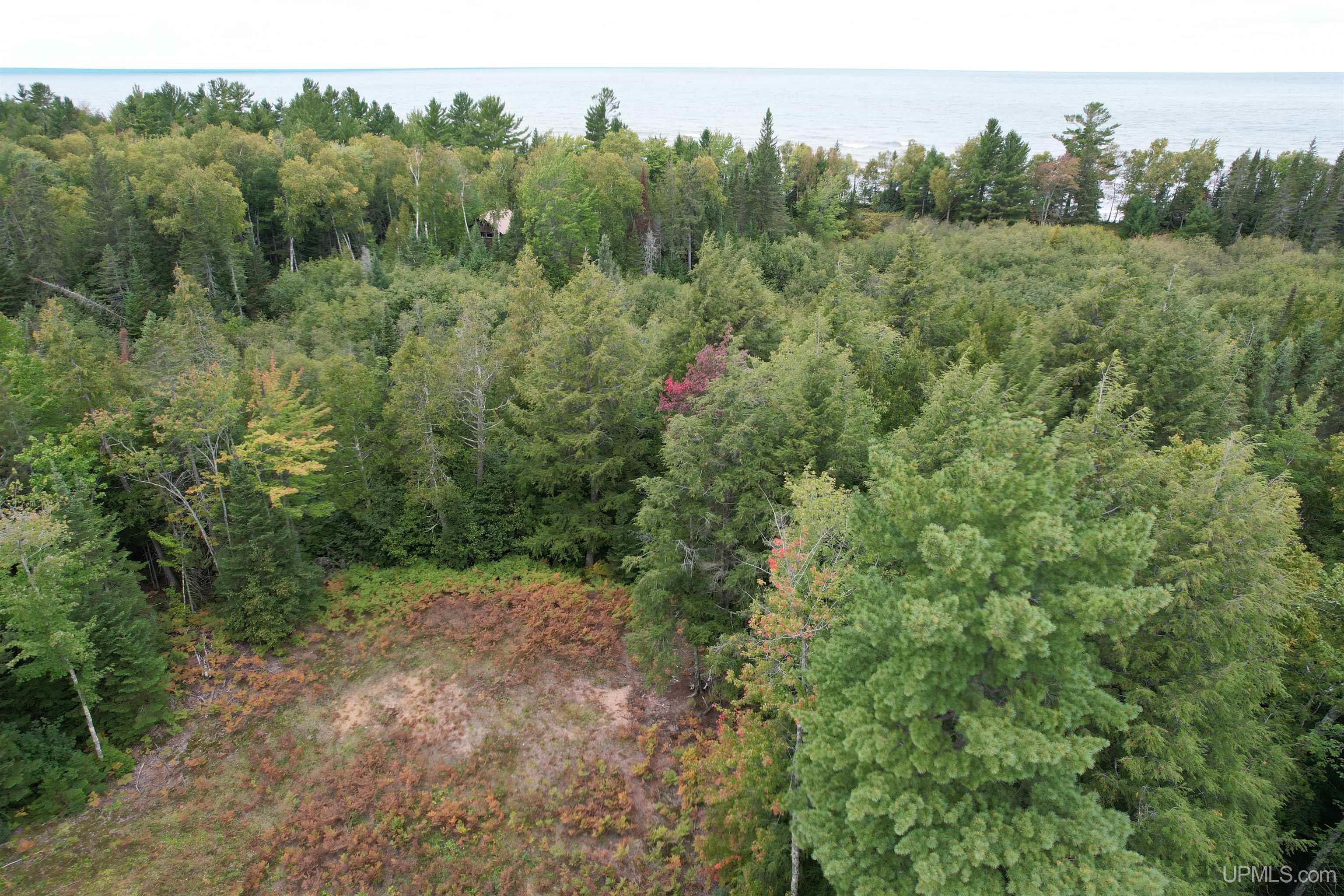 Tbd Evergreen Road Toivola, MI 49965 - Photo 46 of 62