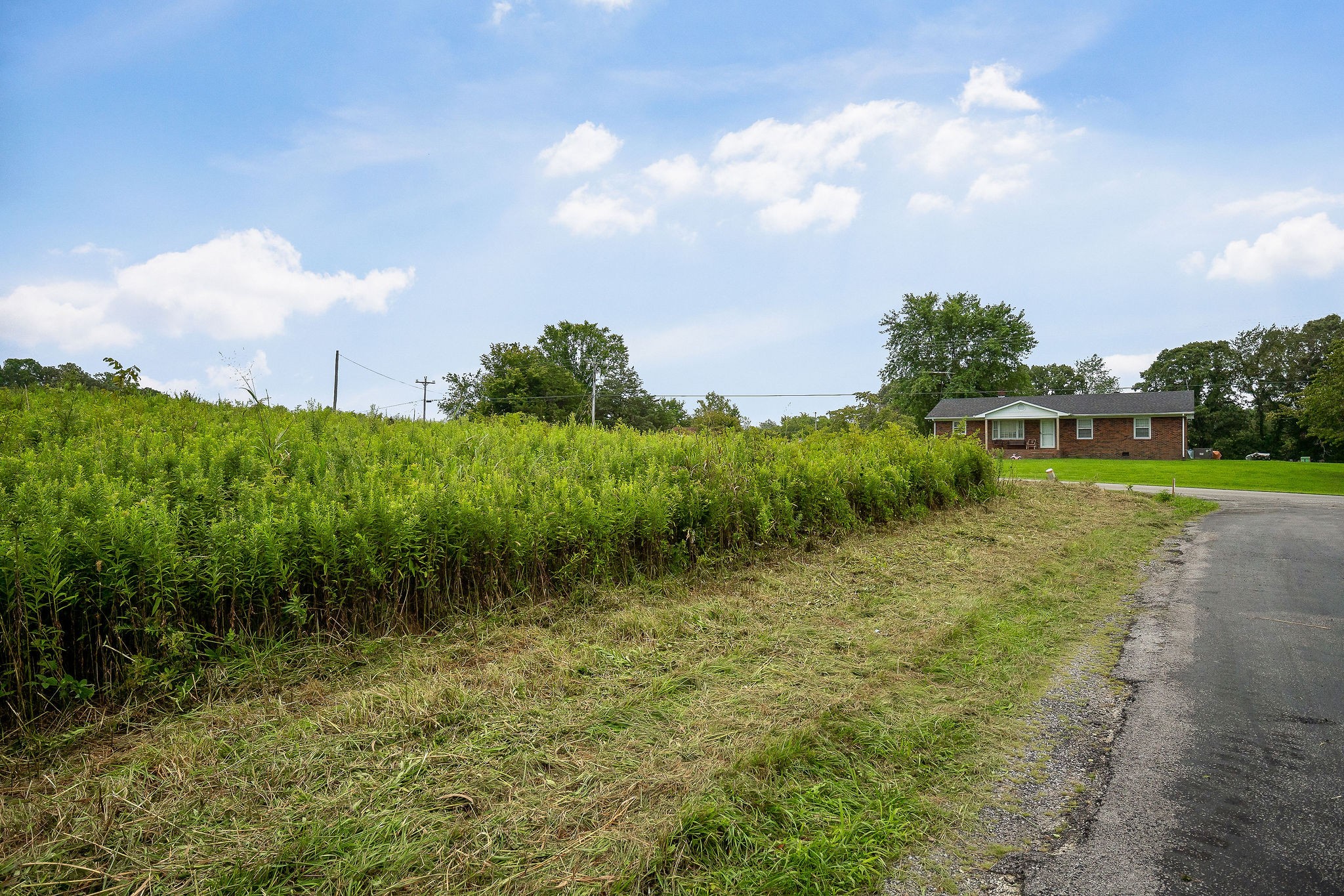 0 Four 4 Seasons Road Smithville, TN 37166 - Photo 14 of 17 a view of a garden with plants and large trees