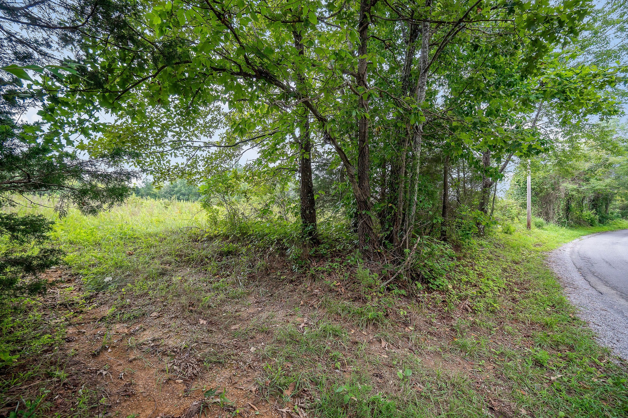 0 Four 4 Seasons Road Smithville, TN 37166 - Photo 16 of 17 a view of a lush green forest with lots of trees
