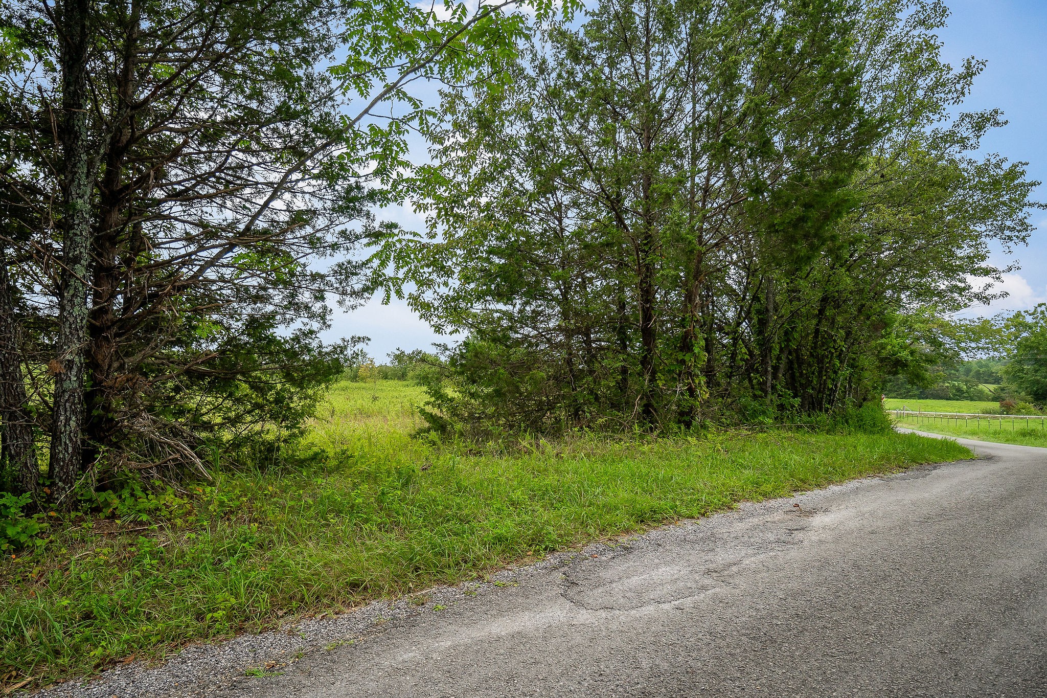 0 Four 4 Seasons Road Smithville, TN 37166 - Photo 17 of 17 a view of a street with a yard and large trees
