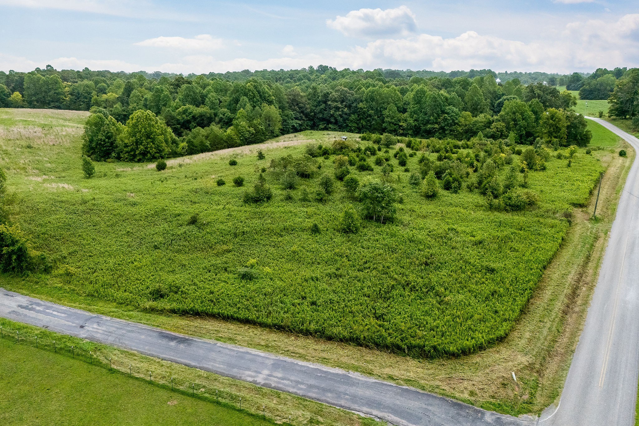 0 Four 4 Seasons Road Smithville, TN 37166 - Photo 2 of 17 a view of a green field