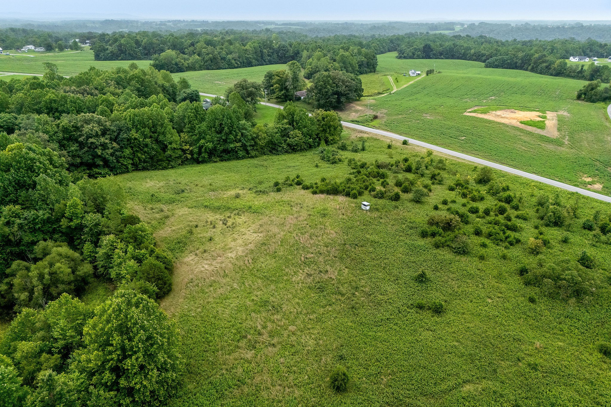 0 Four 4 Seasons Road Smithville, TN 37166 - Photo 4 of 17 a view of a green field with lots of trees in the background
