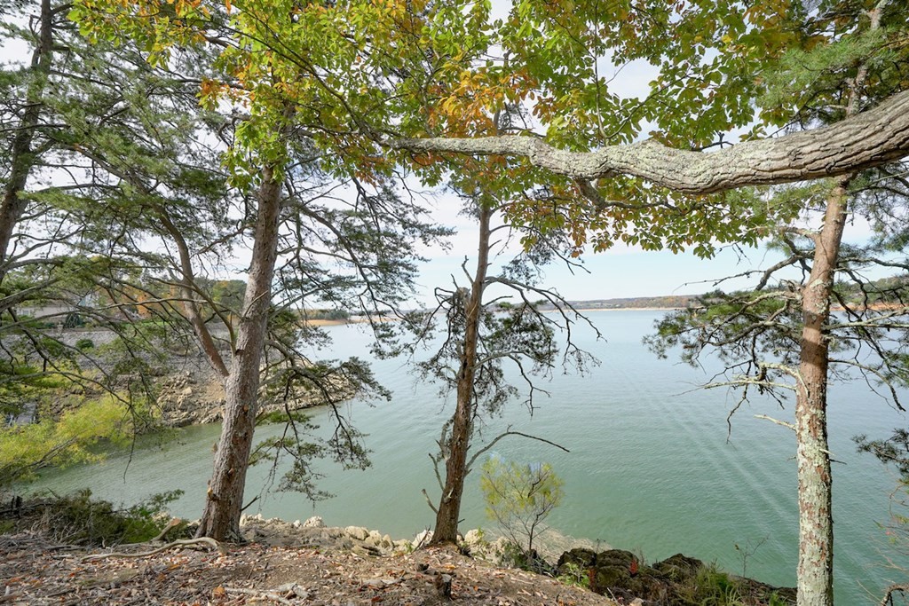 0 Lot 19 Maurice Road Sevierville, TN 37876 - Photo 14 of 21 a view of lake from a tree