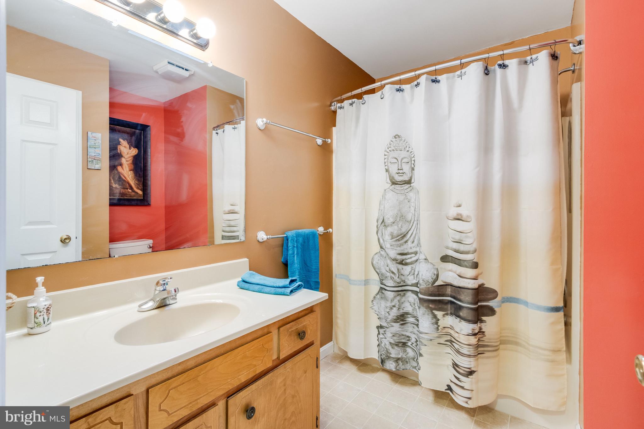 116 Red Cedar Drive Milton, DE 19968 - Photo 20 of 44 a bathroom with a granite countertop sink and a mirror