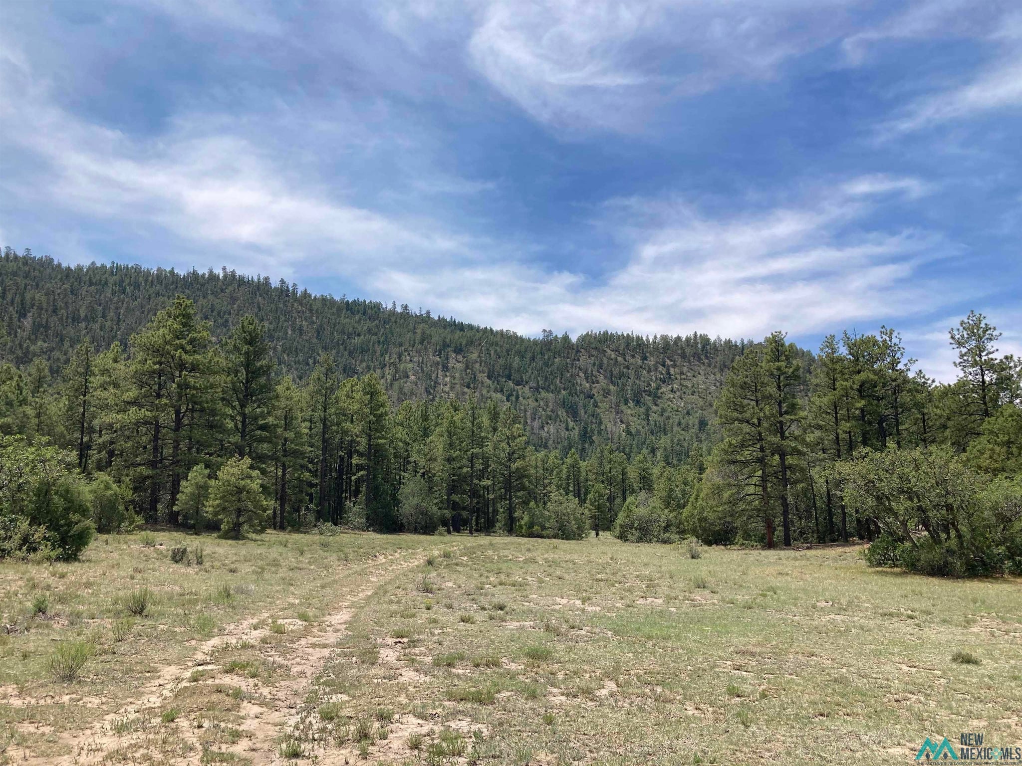 1 Forest Rd100 Road Canones, NM 87516 - Photo 27 of 39 Gallery Image 27