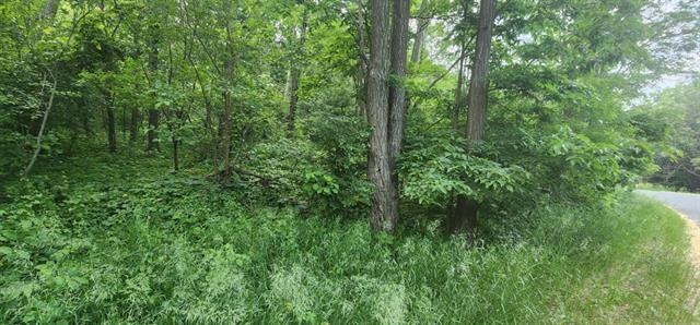 L7 Oakleaf Lane Wisconsin Dells, WI 53965 - Photo 1 of 1 Gallery Image 1