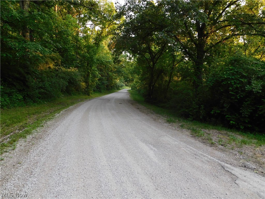 0 Man Of War Road Walker, WV 26180 - Photo 9 of 10 Gallery Image 9
