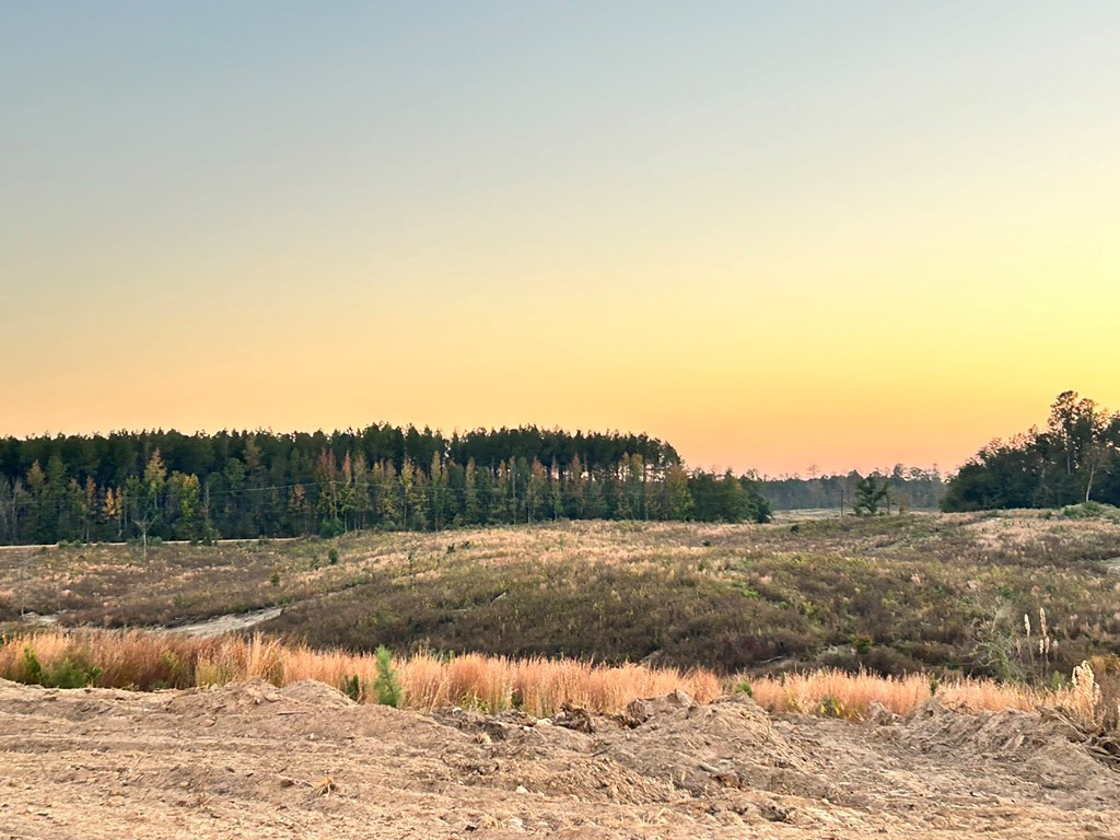 Undisclosed Address Liberty, MS 39645 - Photo 16 of 31 Photo 16