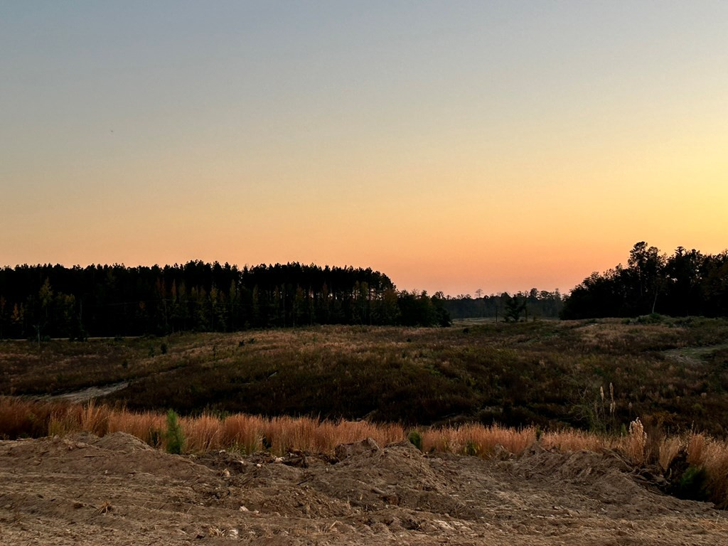 Undisclosed Address Liberty, MS 39645 - Photo 19 of 31 Photo 19