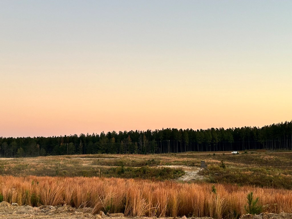 Undisclosed Address Liberty, MS 39645 - Photo 24 of 31 Photo 24