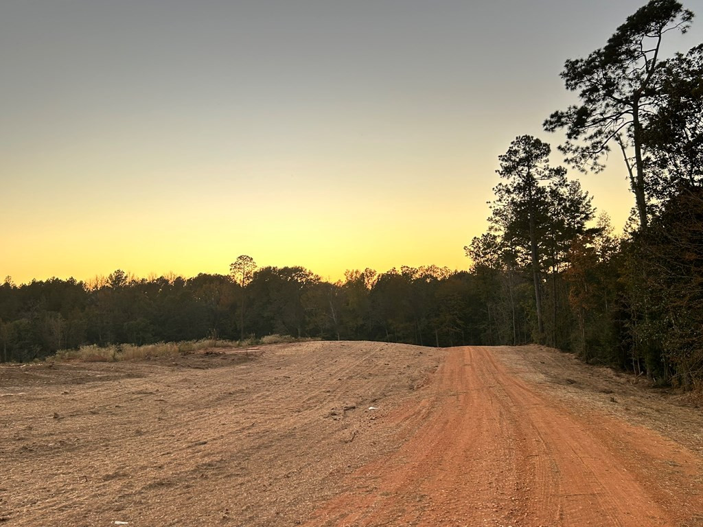 Undisclosed Address Liberty, MS 39645 - Photo 31 of 31 Photo 31