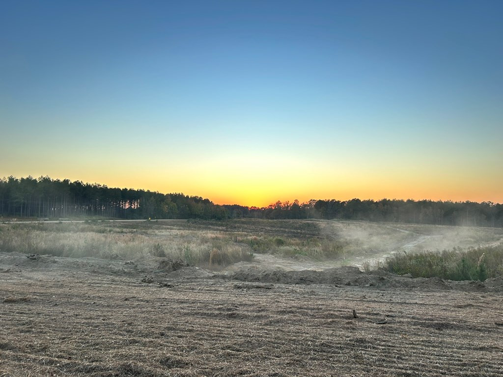 Undisclosed Address Liberty, MS 39645 - Photo 6 of 31 Photo 6