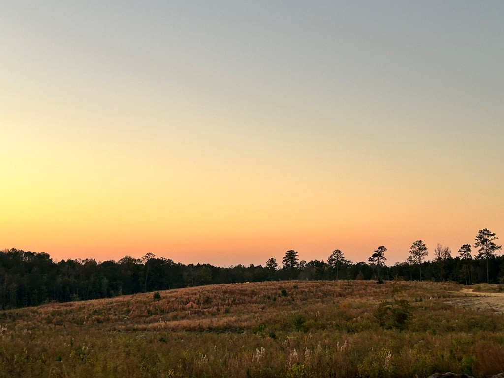 Undisclosed Address Liberty, MS 39645 - Photo 8 of 31 Photo 8