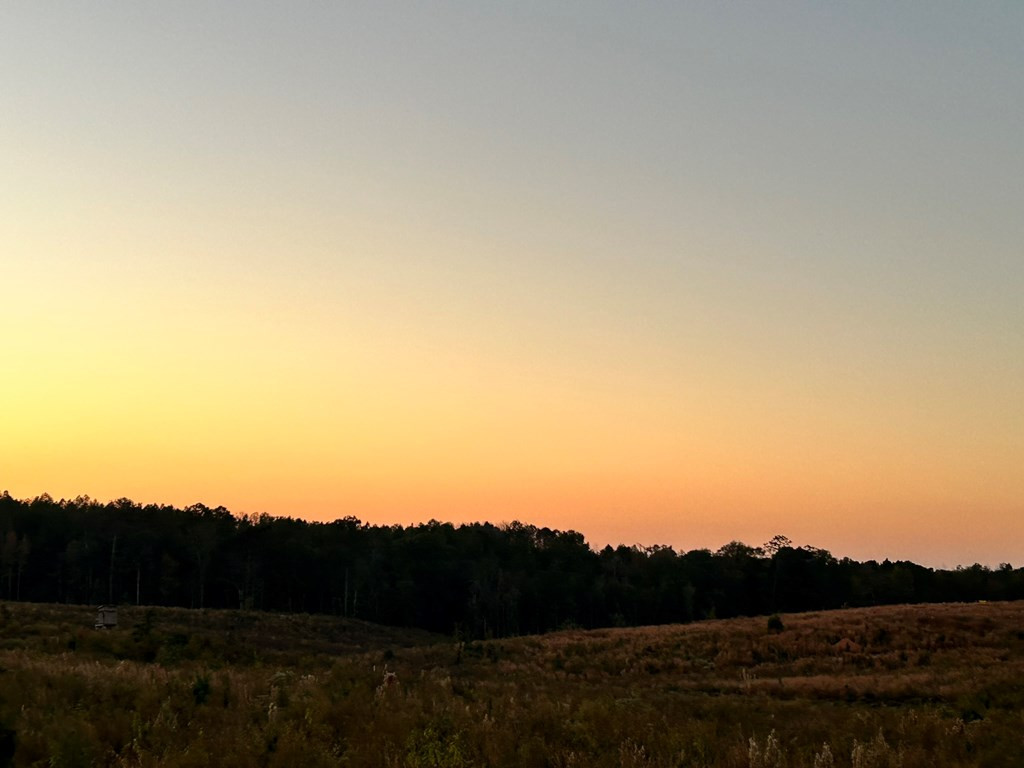 Undisclosed Address Liberty, MS 39645 - Photo 9 of 31 Photo 9