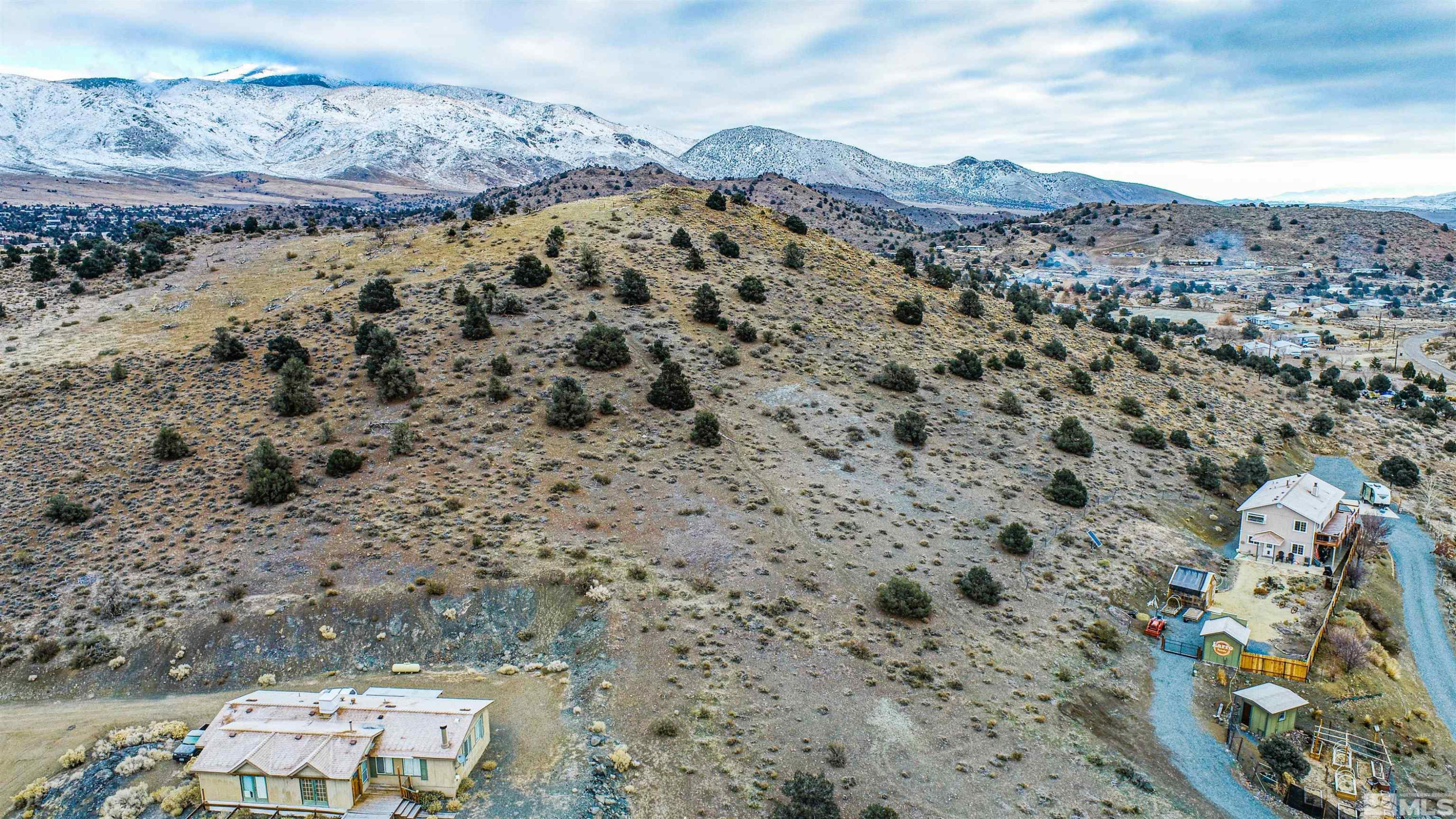 1471 Breccia Road Wellington, NV 89444 - Photo 15 of 15 a view of a yard with a mountain