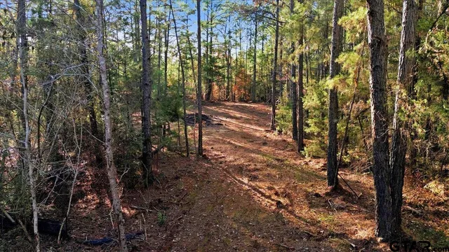 $35,000 | 222 South Main Street, Arp, TX 75750