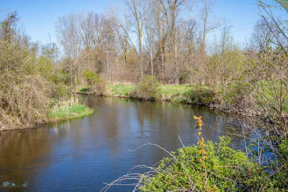 23885 South County Line Road Homer, MI 49245 - Photo 3 of 33 5R9A0015-2