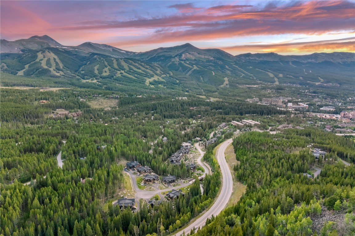 380 River Park Drive Breckenridge, CO 80424 - Photo 35 of 45 a view of a forest with a mountain