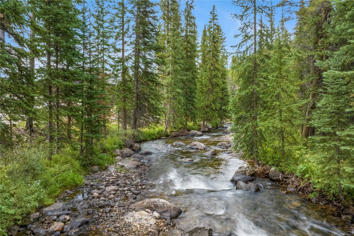 380 River Park Drive Breckenridge, CO 80424 - Photo 40 of 45 a view of a forest with trees in the background