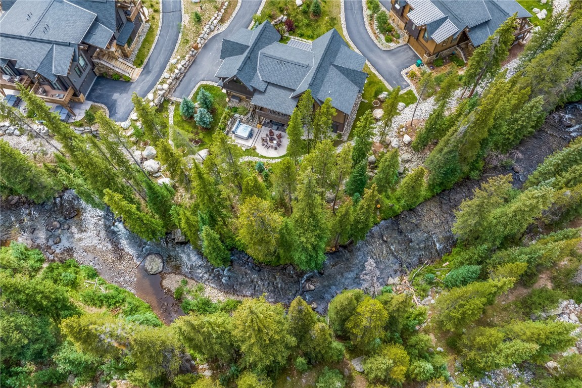 380 River Park Drive Breckenridge, CO 80424 - Photo 41 of 45 a view of a garden with plants