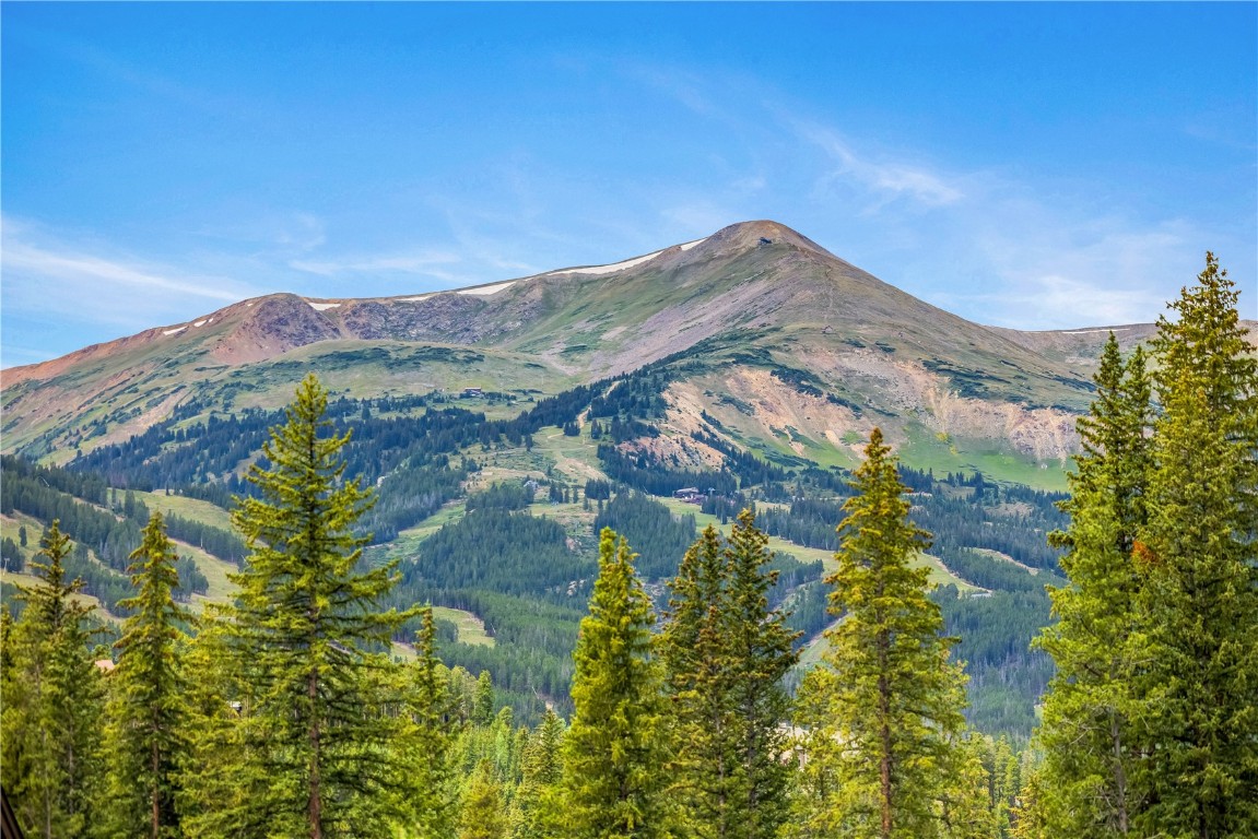 380 River Park Drive Breckenridge, CO 80424 - Photo 5 of 45 a view of a house with a yard