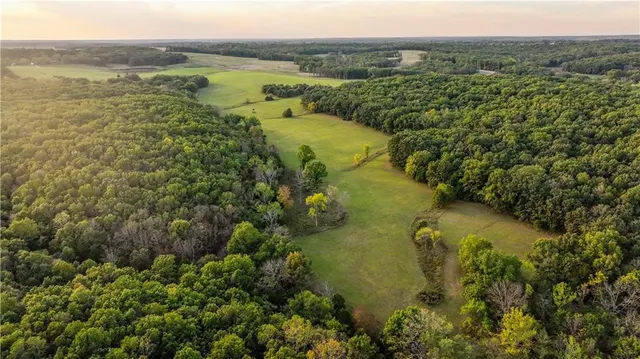 $1,800,000 | 15183 County Road 399 N/a, Cross Timbers, MO 65634