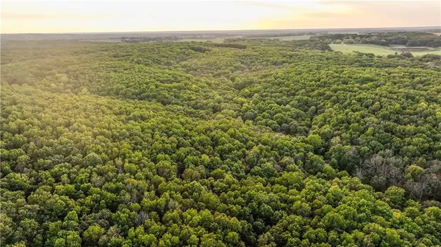 $1,800,000 | 15183 County Road 399 N/a, Cross Timbers, MO 65634