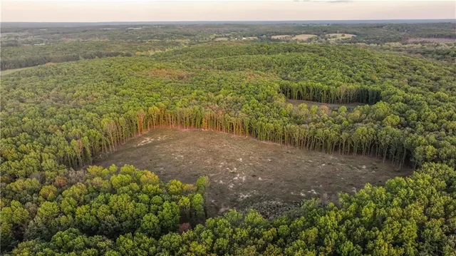 $1,800,000 | 15183 County Road 399 N/a, Cross Timbers, MO 65634