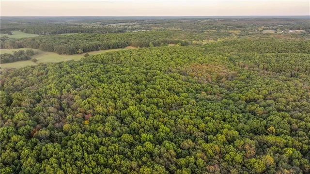 $1,800,000 | 15183 County Road 399 N/a, Cross Timbers, MO 65634