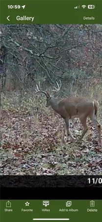 $1,800,000 | 15183 County Road 399 N/a, Cross Timbers, MO 65634