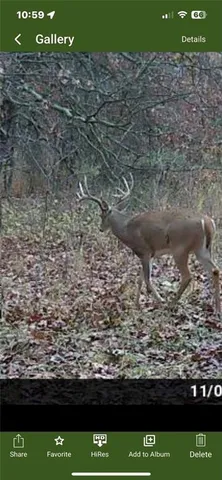 $1,800,000 | 15183 County Road 399 N/a, Cross Timbers, MO 65634