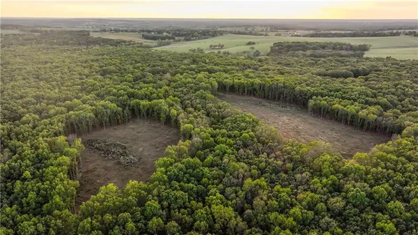 $1,800,000 | 15183 County Road 399 N/a, Cross Timbers, MO 65634