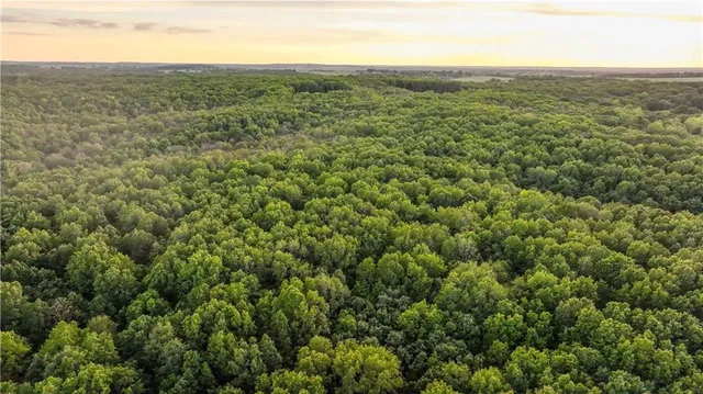 $1,800,000 | 15183 County Road 399 N/a, Cross Timbers, MO 65634