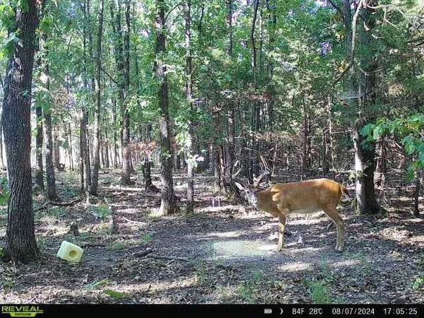 $1,800,000 | 15183 County Road 399 N/a, Cross Timbers, MO 65634