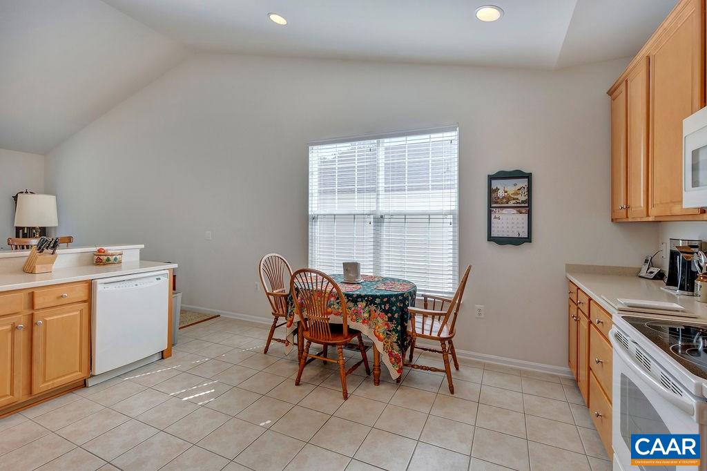 241 John Rucker Drive Ruckersville, VA 22968 - Photo 11 of 44 Gallery Image 11