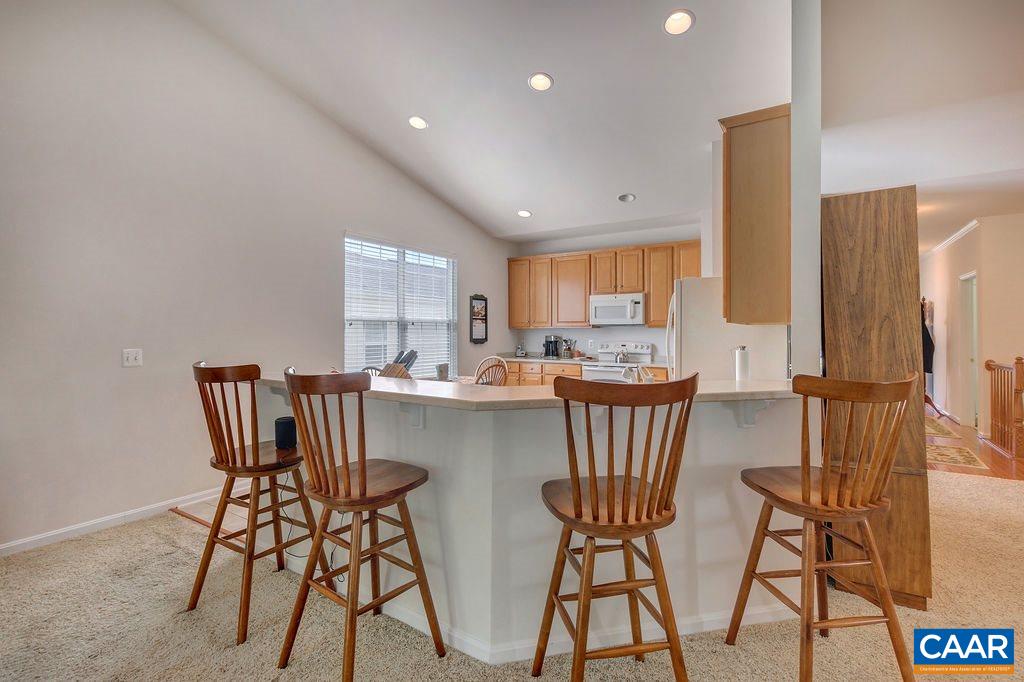 241 John Rucker Drive Ruckersville, VA 22968 - Photo 14 of 44 Gallery Image 14