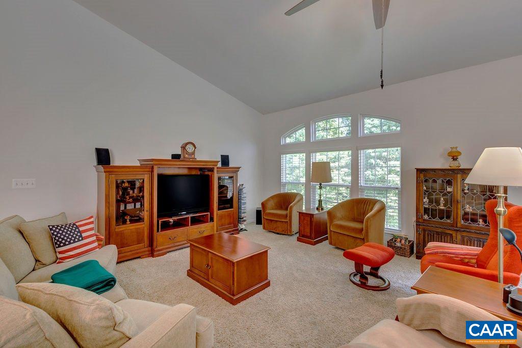 241 John Rucker Drive Ruckersville, VA 22968 - Photo 16 of 44 Gallery Image 16