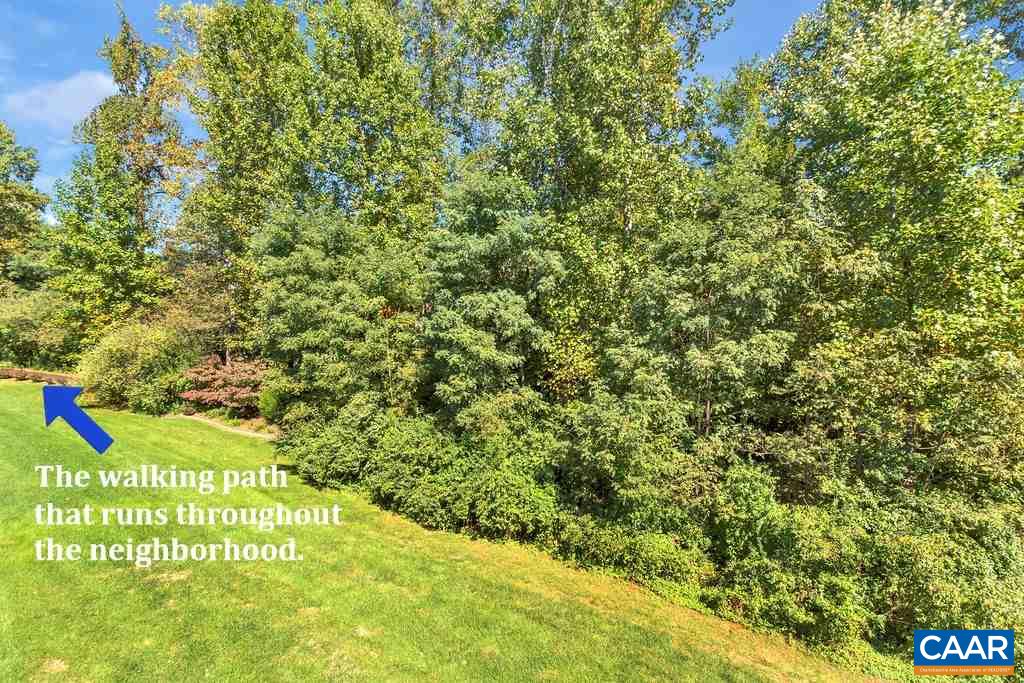 241 John Rucker Drive Ruckersville, VA 22968 - Photo 20 of 44 Gallery Image 20
