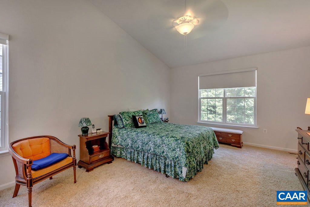 241 John Rucker Drive Ruckersville, VA 22968 - Photo 21 of 44 Gallery Image 21