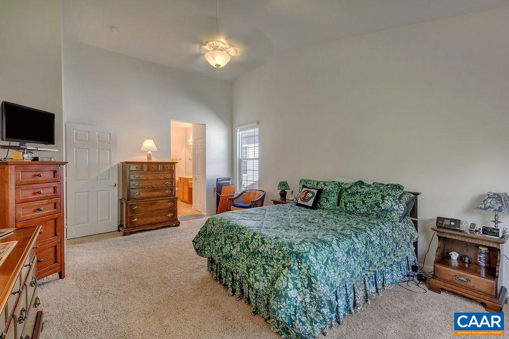 241 John Rucker Drive Ruckersville, VA 22968 - Photo 22 of 44 Gallery Image 22